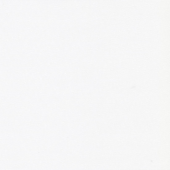 Шторы рулонные, Альфа 02 белый: фото